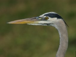 Florida_2007-2008-011